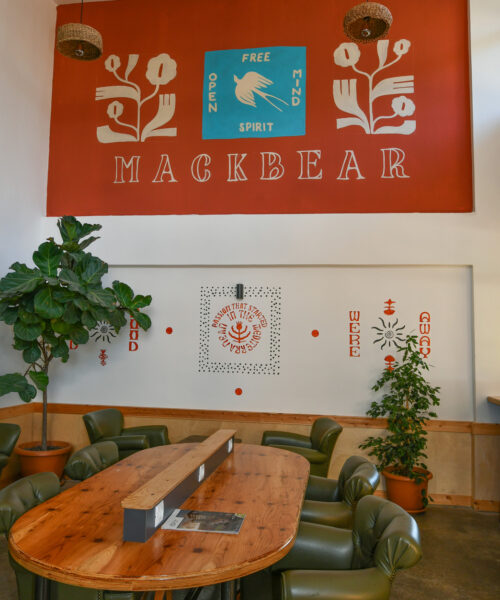 mackbear-coffee-gazipasa-proje-uygulama-anahtar-teslim