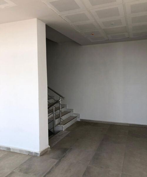 tekiragac-balik-restoran-tekirdag-proje-danismanlik-render-autocad-sketchup-cizim-oncesi
